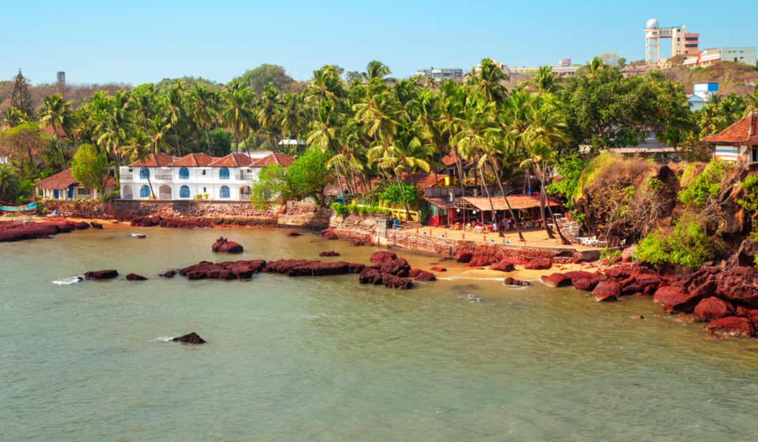 Best Places to Eat Kerala Food in Goa