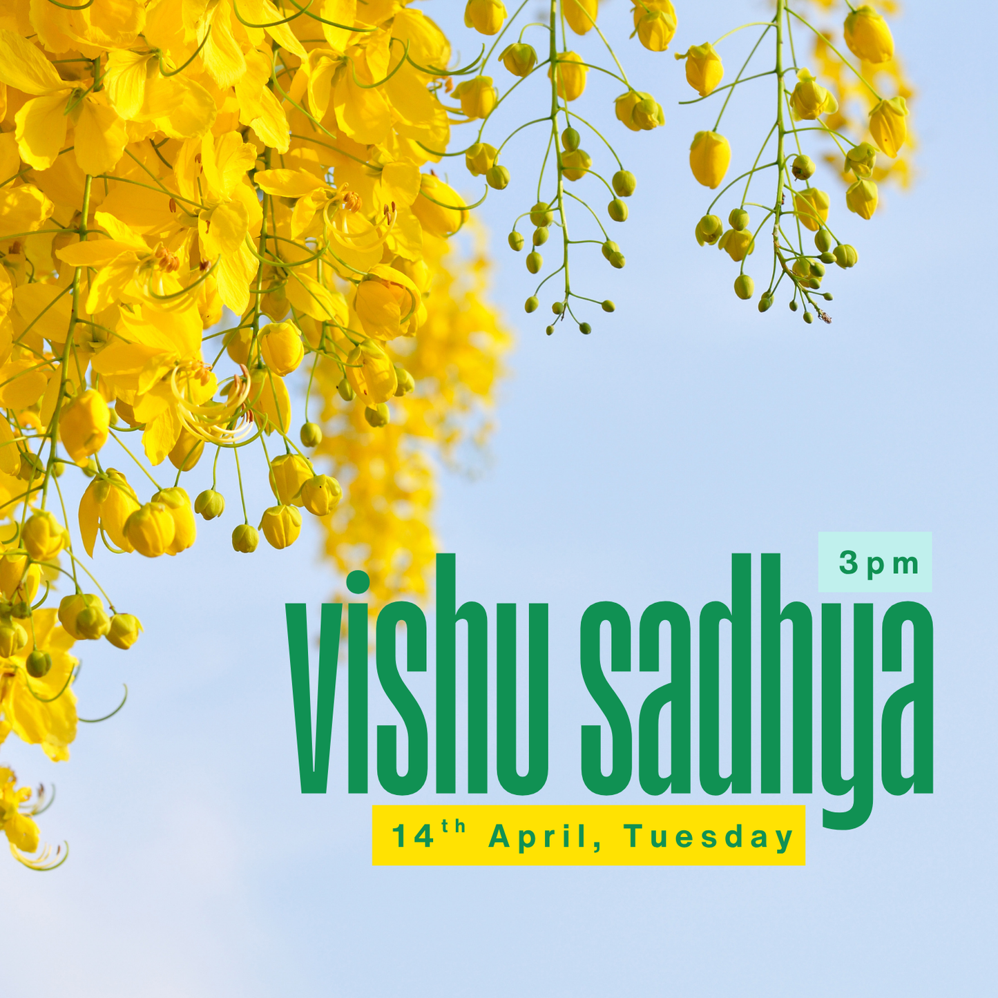 3pm - 4pm | 14th April